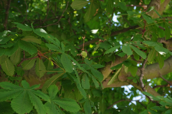 title: Stay in DENMARK 2 | Page No,9 | No.31 | sync-furniture | 株式会社 SYNC | 福岡県 家具工房 | オーダーメイドキッチン