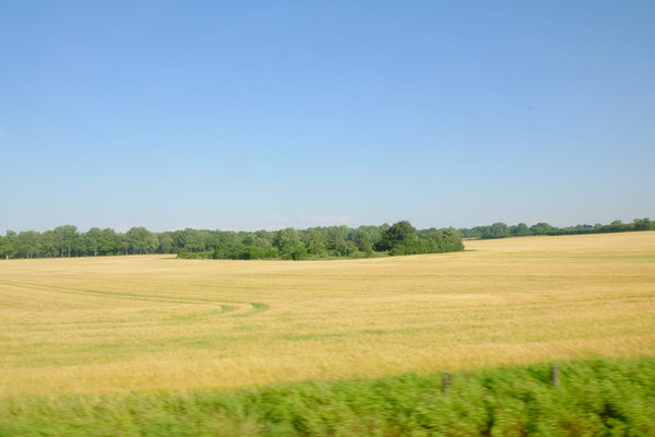 title: Stay in DENMARK 4 | Page No,11 | No.4 | sync-furniture | 株式会社 SYNC | 福岡県 家具工房 | オーダーメイドキッチン