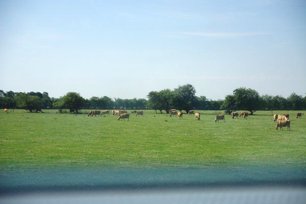 title: Stay in DENMARK 4 | Page No,11 | No.16 | sync-furniture | 株式会社 SYNC | 福岡県 家具工房 | オーダーメイドキッチン