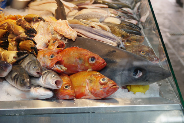 title: Stay in DENMARK 6 | Page No,13 | No.10 | sync-furniture | 株式会社 SYNC | 福岡県 家具工房 | オーダーメイドキッチン