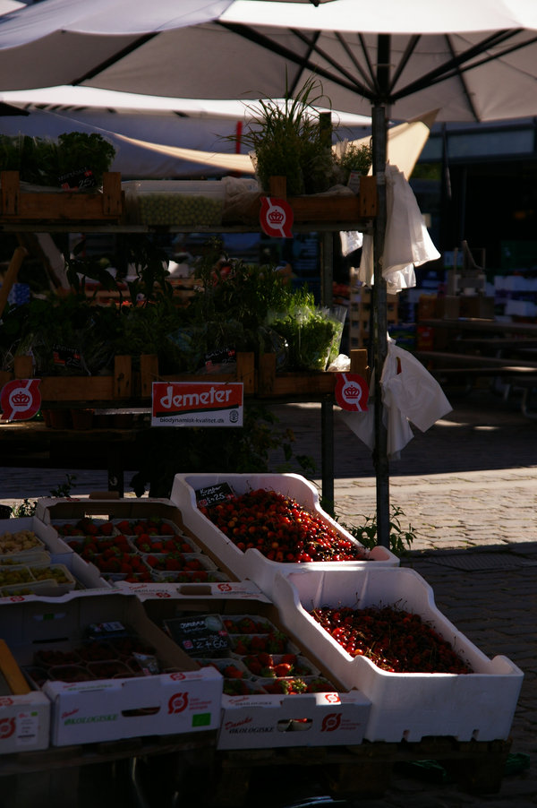 title: Stay in DENMARK 6 | Page No,13 | No.12 | sync-furniture | 株式会社 SYNC | 福岡県 家具工房 | オーダーメイドキッチン