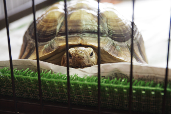 title: 01.16 sat | Page No,85 | No.2 | sync-furniture | 株式会社 SYNC | 福岡県 家具工房 | オーダーメイドキッチン