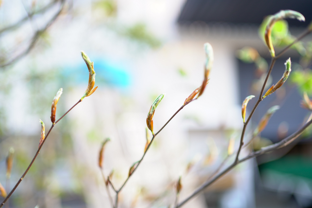 title: 03.14 sat | Page No,382 | No.1 | sync-furniture | 株式会社 SYNC | 福岡県 家具工房 | オーダーメイドキッチン