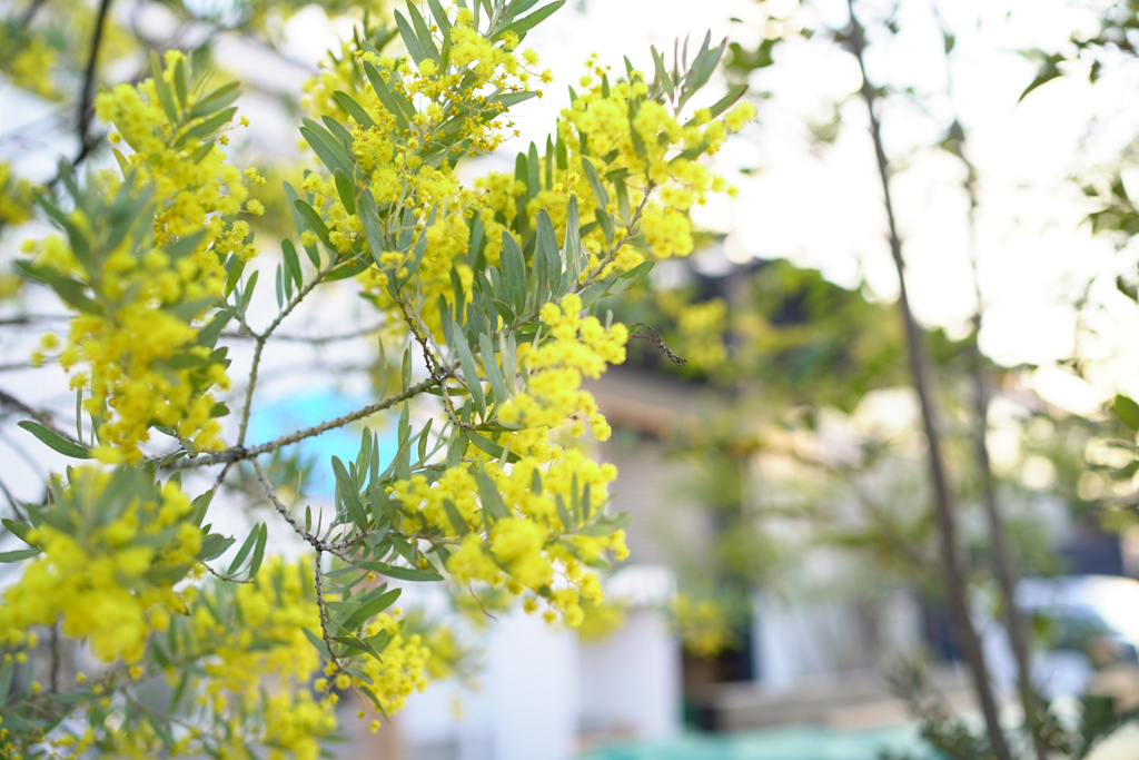 title: 03.14 sat | Page No,382 | No.2 | sync-furniture | 株式会社 SYNC | 福岡県 家具工房 | オーダーメイドキッチン