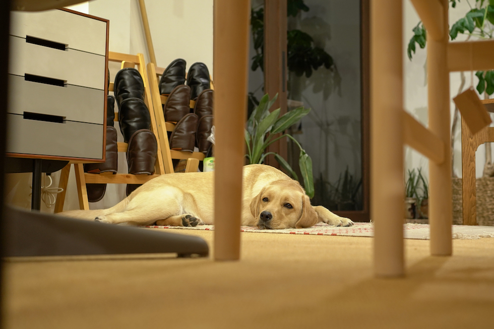 title: 07.13 mon | Page No,414 | No.18 | sync-furniture | 株式会社 SYNC | 福岡県 家具工房 | オーダーメイドキッチン