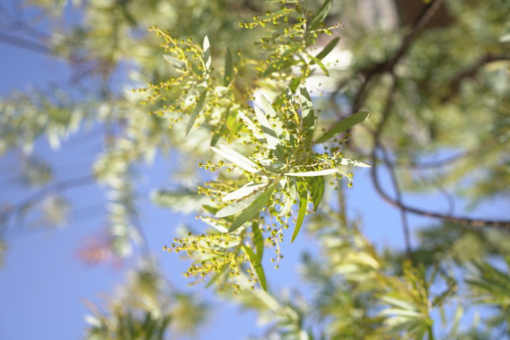 title: 01.15 fri | Page No,437 | No.1 | sync-furniture | 株式会社 SYNC | 福岡県 家具工房 | オーダーメイドキッチン