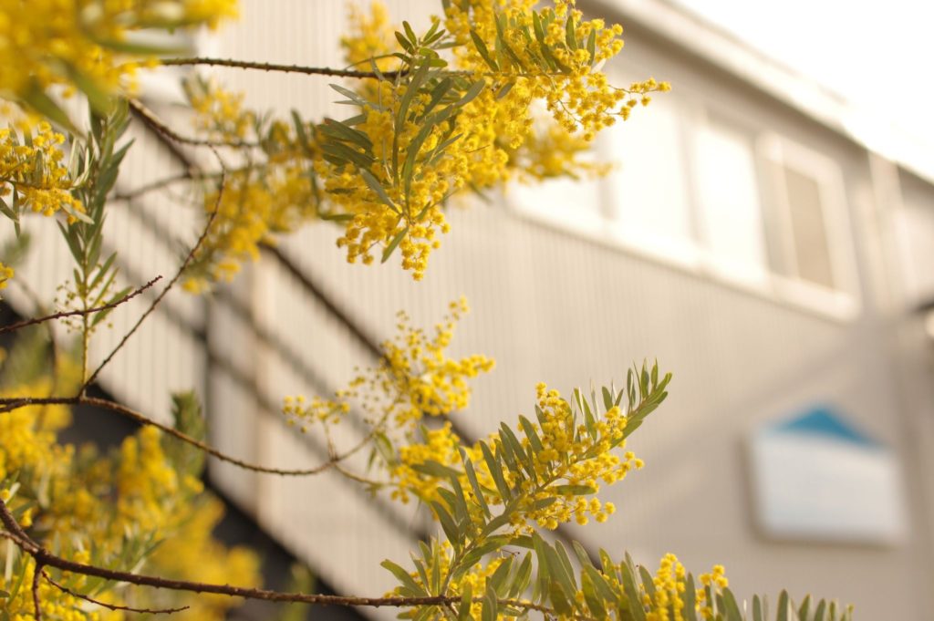 title: 03.17 wed | Page No,439 | No.3 | sync-furniture | 株式会社 SYNC | 福岡県 家具工房 | オーダーメイドキッチン