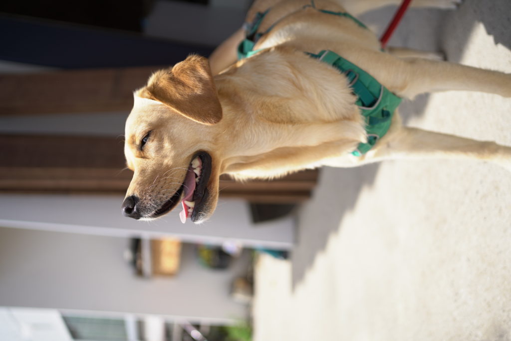 title: 04.15 thu | Page No,444 | No.1 | sync-furniture | 株式会社 SYNC | 福岡県 家具工房 | オーダーメイドキッチン