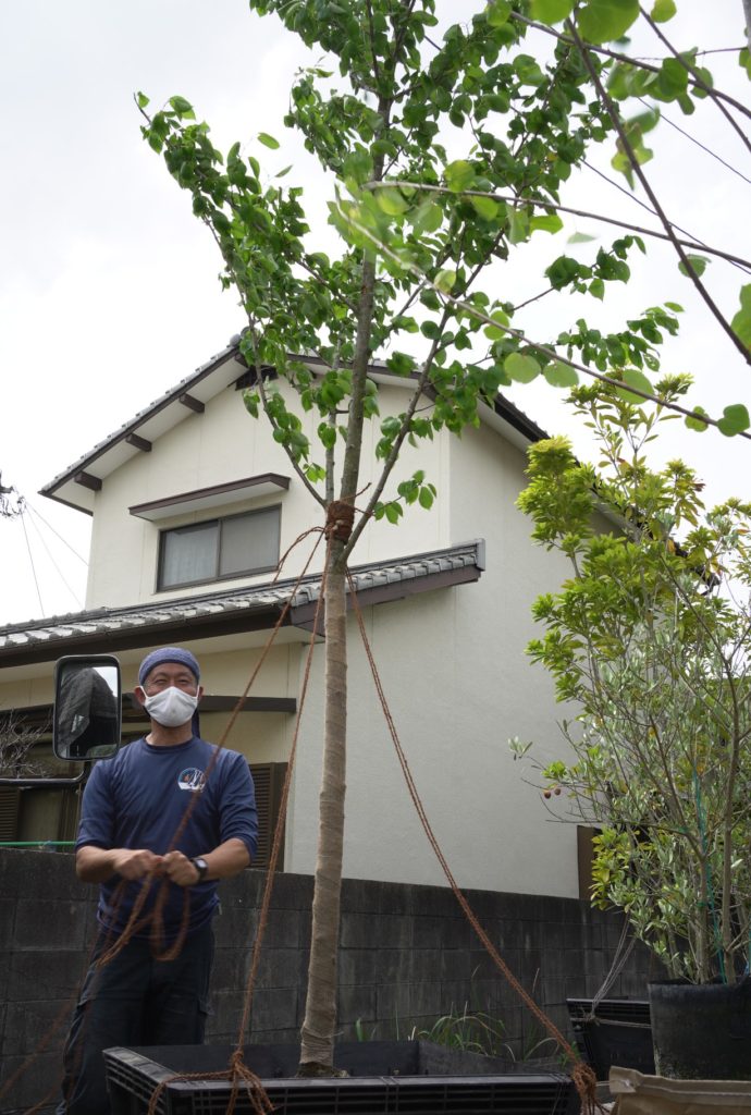 title: 05.14 fri | Page No,449 | No.1 | sync-furniture | 株式会社 SYNC | 福岡県 家具工房 | オーダーメイドキッチン