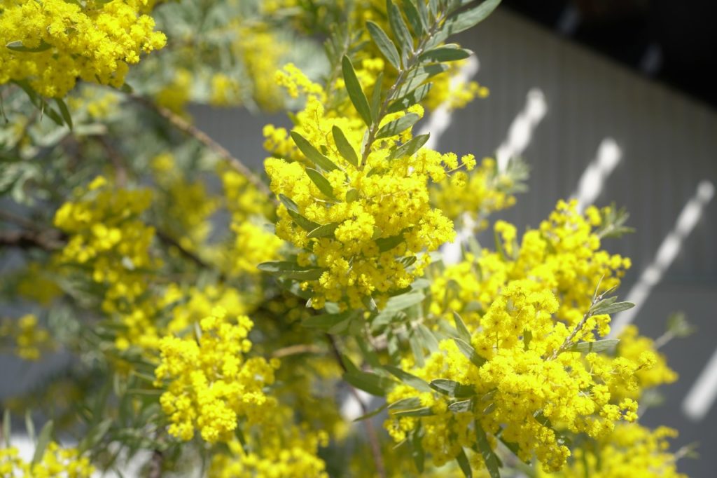 title: 03.15 tue | Page No,493 | No.1 | sync-furniture | 株式会社 SYNC | 福岡県 家具工房 | オーダーメイドキッチン