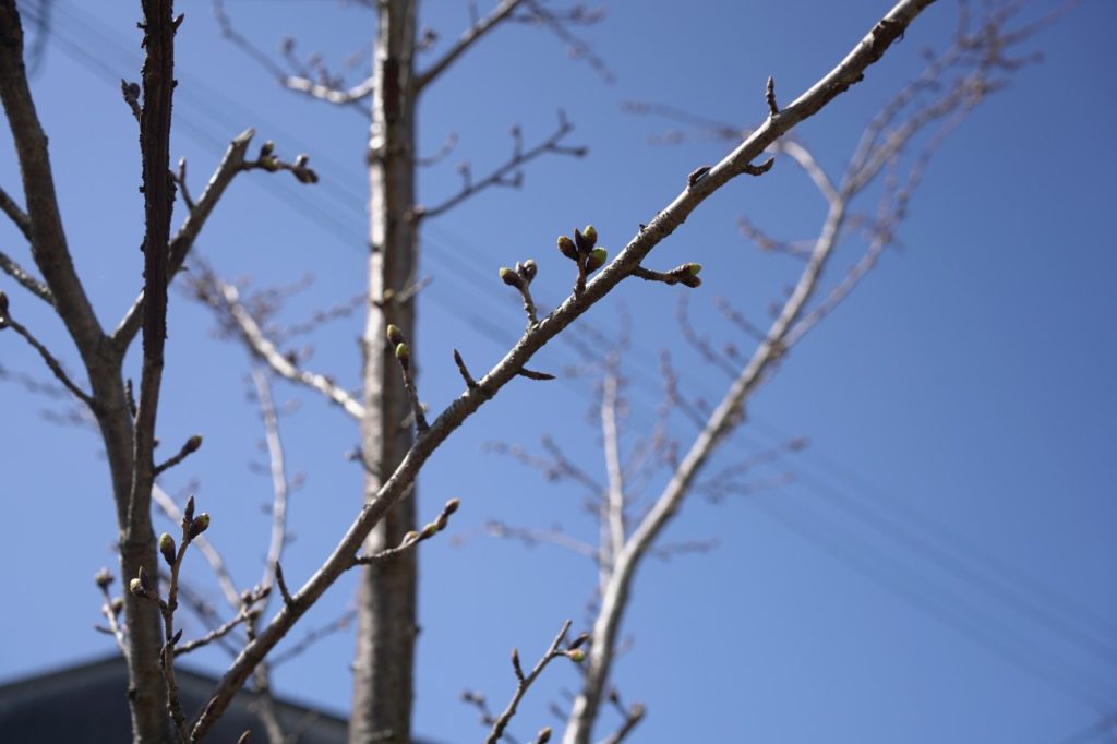 title: 03.15 tue | Page No,493 | No.2 | sync-furniture | 株式会社 SYNC | 福岡県 家具工房 | オーダーメイドキッチン