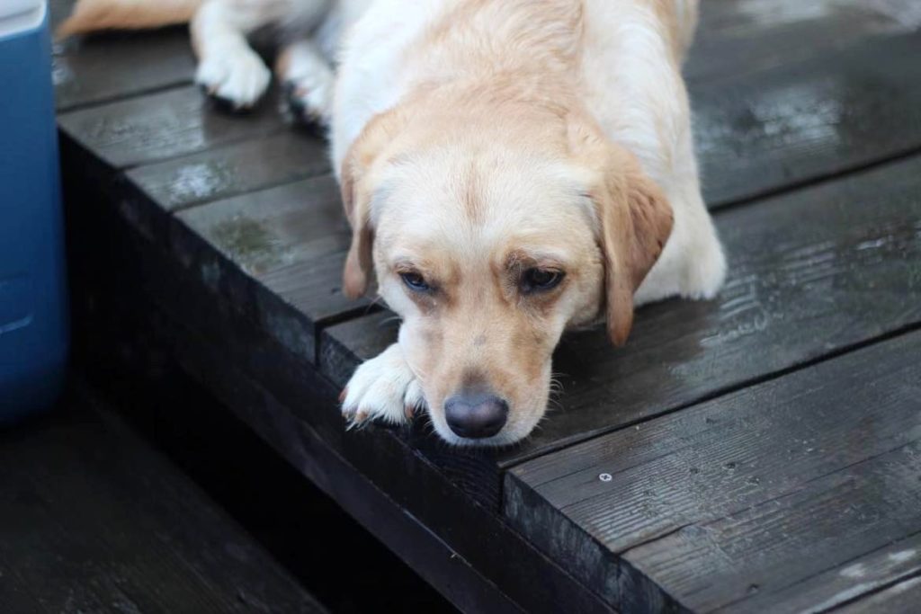 title: 07.23 sat | Page No,503 | No.12 | sync-furniture | 株式会社 SYNC | 福岡県 家具工房 | オーダーメイドキッチン