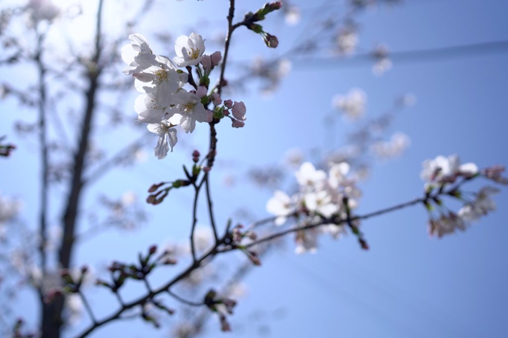 title: 03.28 tue | Page No,522 | No.2 | sync-furniture | 株式会社 SYNC | 福岡県 家具工房 | オーダーメイドキッチン