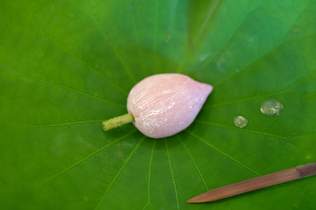 title: Sen×誉茶紡 “蓮の一服”｜2023.7.29 | Page No,529 | No.5 | sync-furniture | 株式会社 SYNC | 福岡県 家具工房 | オーダーメイドキッチン