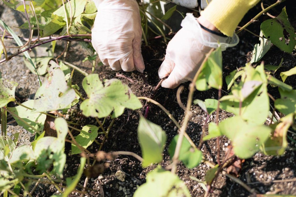 title: 10.27 Fri | Page No,534 | No.2 | sync-furniture | 株式会社 SYNC | 福岡県 家具工房 | オーダーメイドキッチン