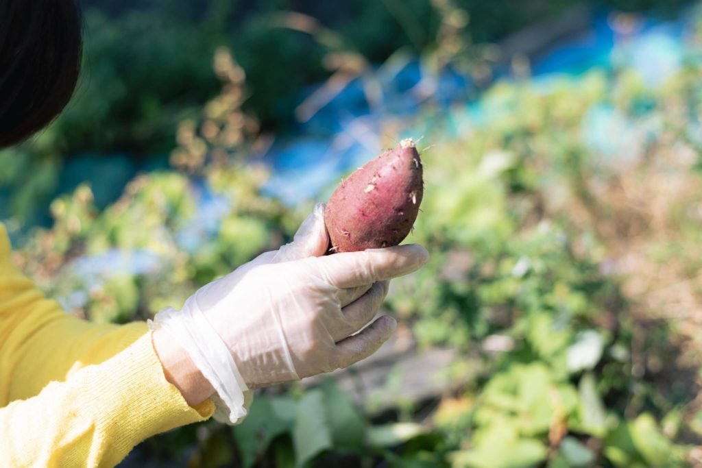 title: 10.27 Fri | Page No,534 | No.4 | sync-furniture | 株式会社 SYNC | 福岡県 家具工房 | オーダーメイドキッチン