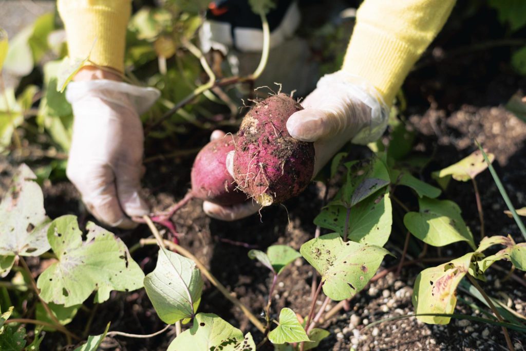 title: 10.27 Fri | Page No,534 | No.3 | sync-furniture | 株式会社 SYNC | 福岡県 家具工房 | オーダーメイドキッチン