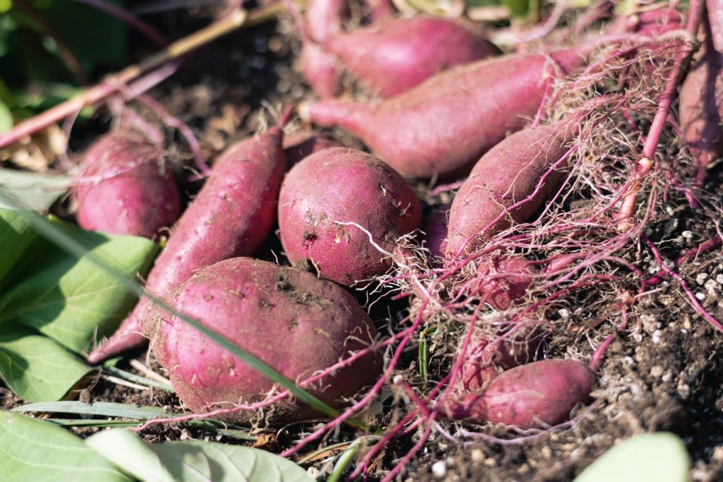 title: 10.27 Fri | Page No,534 | No.5 | sync-furniture | 株式会社 SYNC | 福岡県 家具工房 | オーダーメイドキッチン