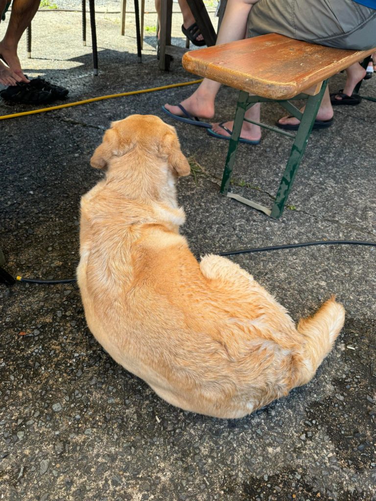 title: 07.28 Sun | Page No,556 | No.3 | sync-furniture | 株式会社 SYNC | 福岡県 家具工房 | オーダーメイドキッチン