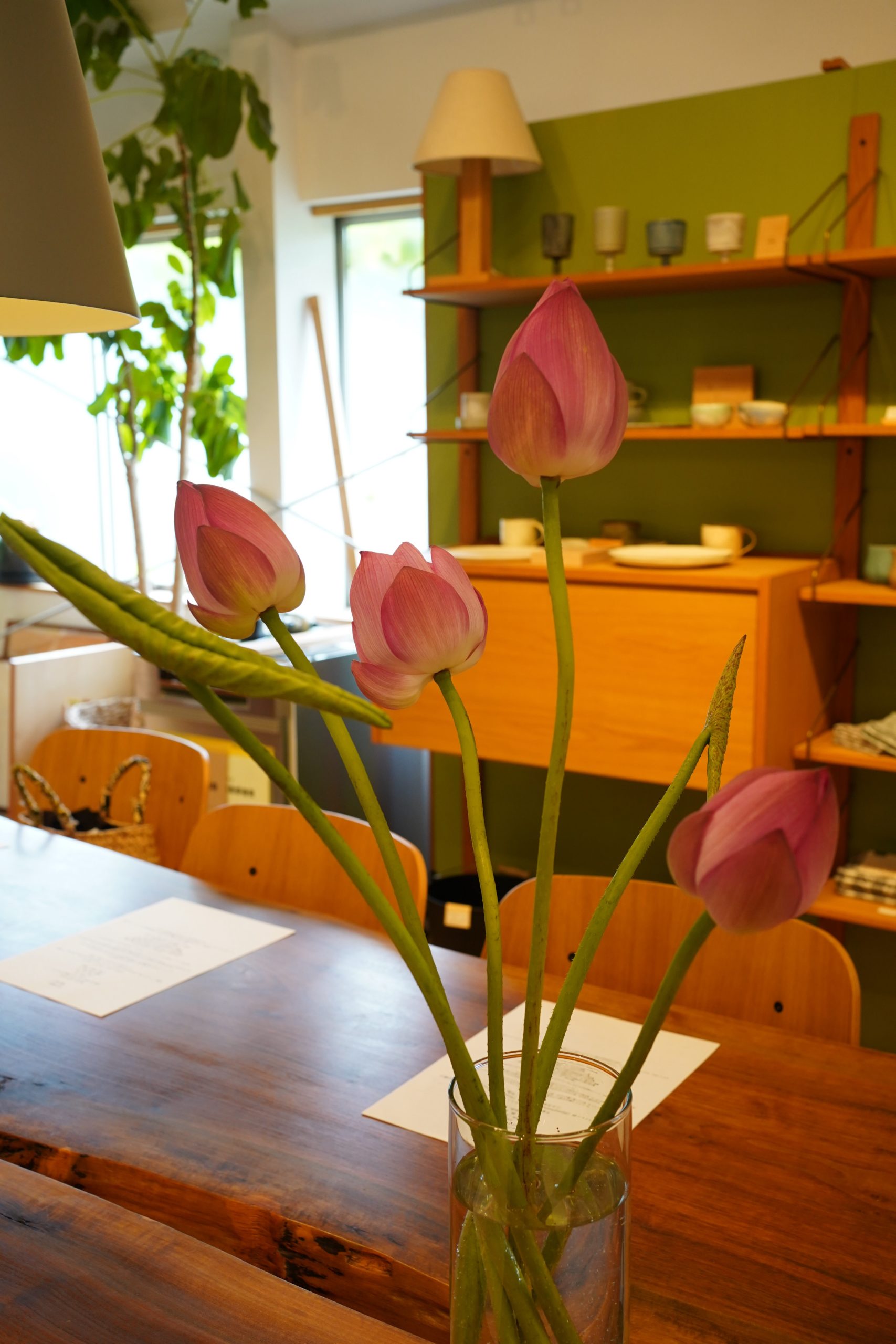 title: meili “蓮の実養生薬膳レッスン”｜2025.8.9 | Page No,600 | No.1 | sync-furniture | 株式会社 SYNC | 福岡県 家具工房 | オーダーメイドキッチン