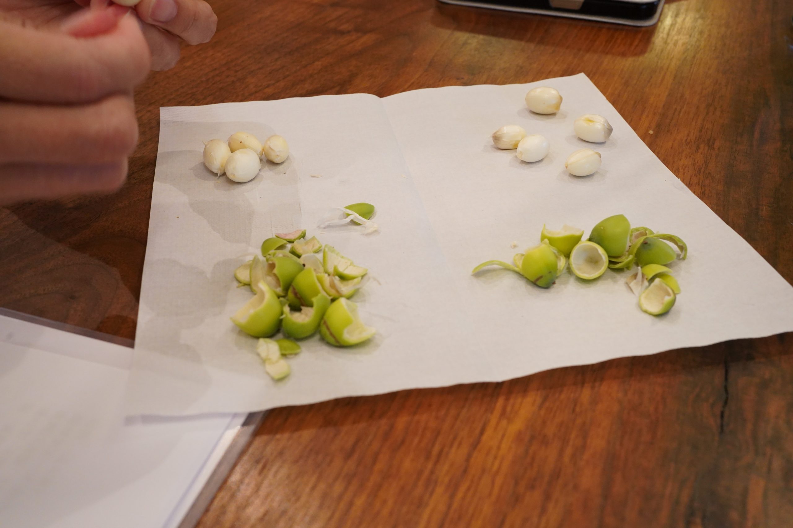 title: meili “蓮の実養生薬膳レッスン”｜2025.8.9 | Page No,600 | No.3 | sync-furniture | 株式会社 SYNC | 福岡県 家具工房 | オーダーメイドキッチン