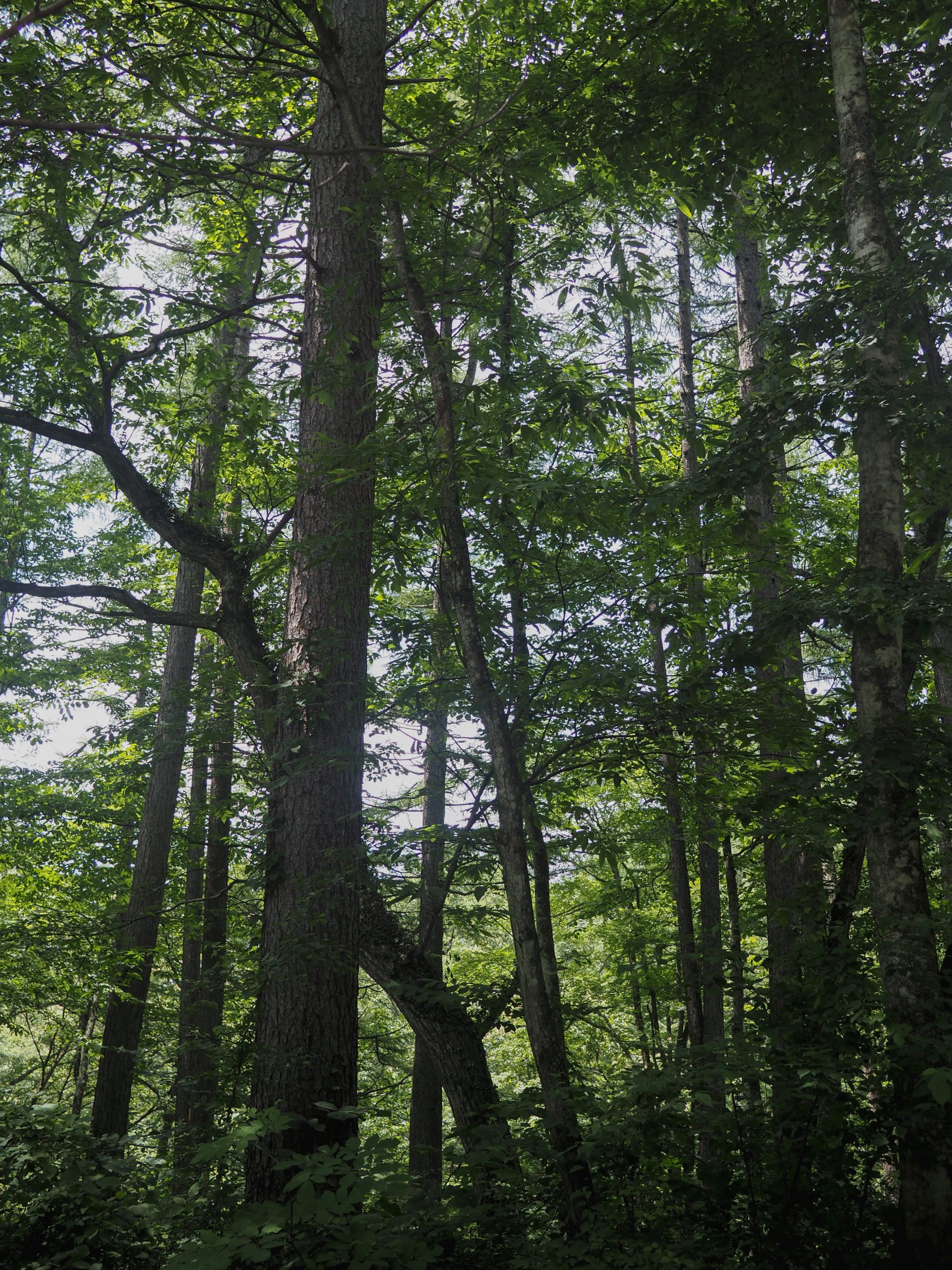title: 07.11｜写真に残せない石の教会 | Page No,672 | No.10 | sync-furniture | 株式会社 SYNC | 福岡県 家具工房 | オーダーメイドキッチン