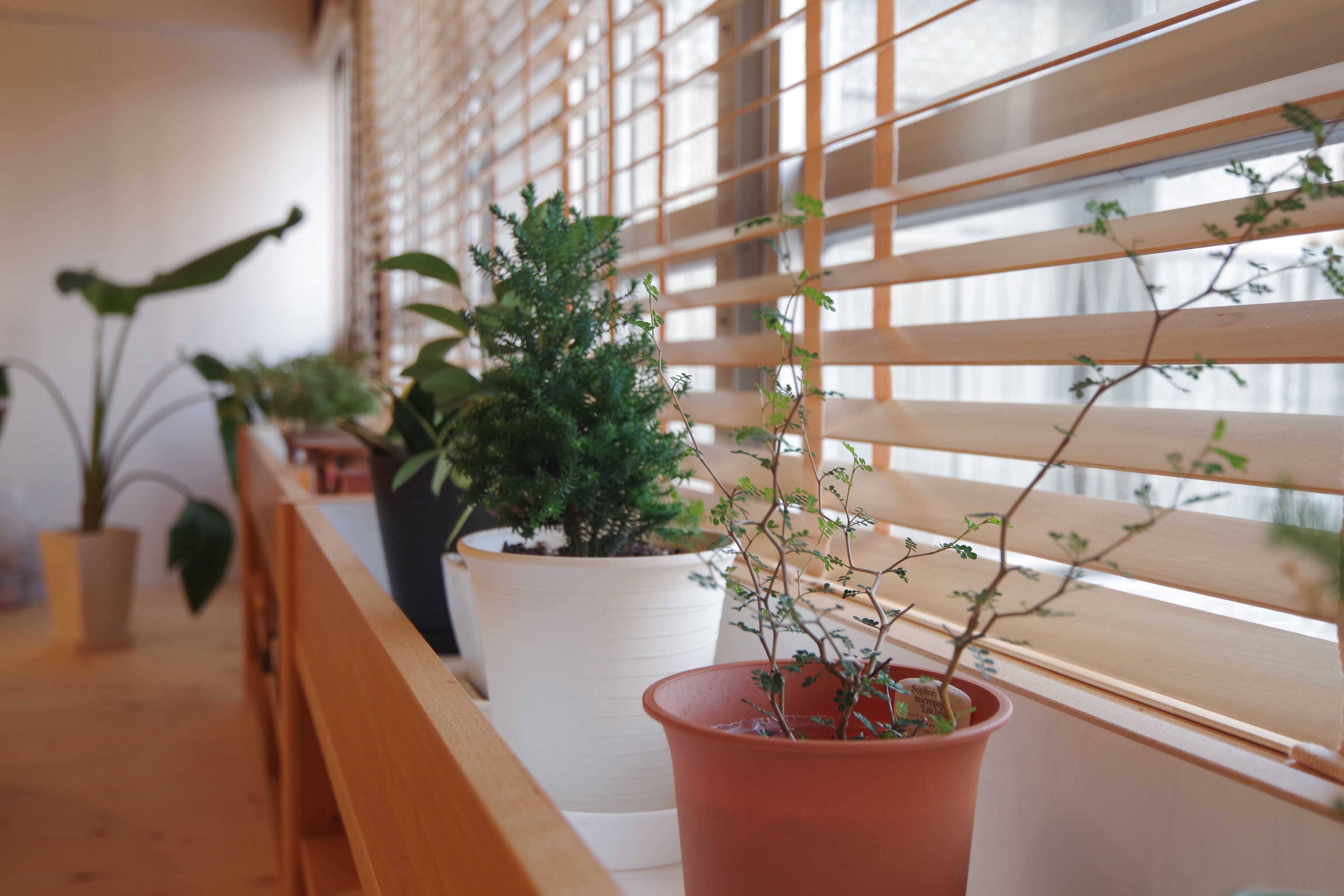 title: HOUSE 59 | Page No,64 | No.12 | sync-furniture | 株式会社 SYNC | 福岡県 家具工房 | オーダーメイドキッチン