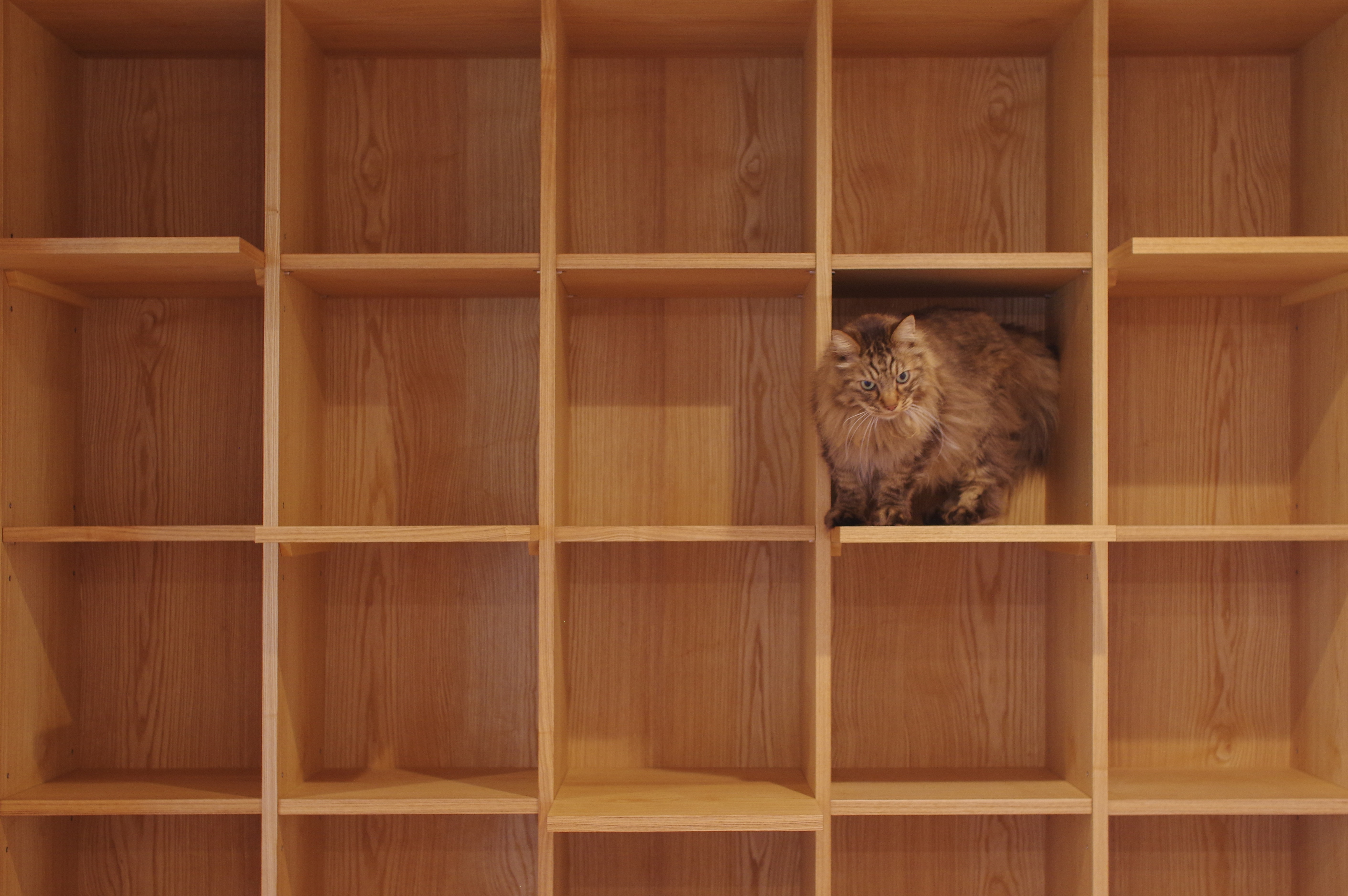 title: HOUSE 210 | Page No,223 | No.10 | sync-furniture | 株式会社 SYNC | 福岡県 家具工房 | オーダーメイドキッチン