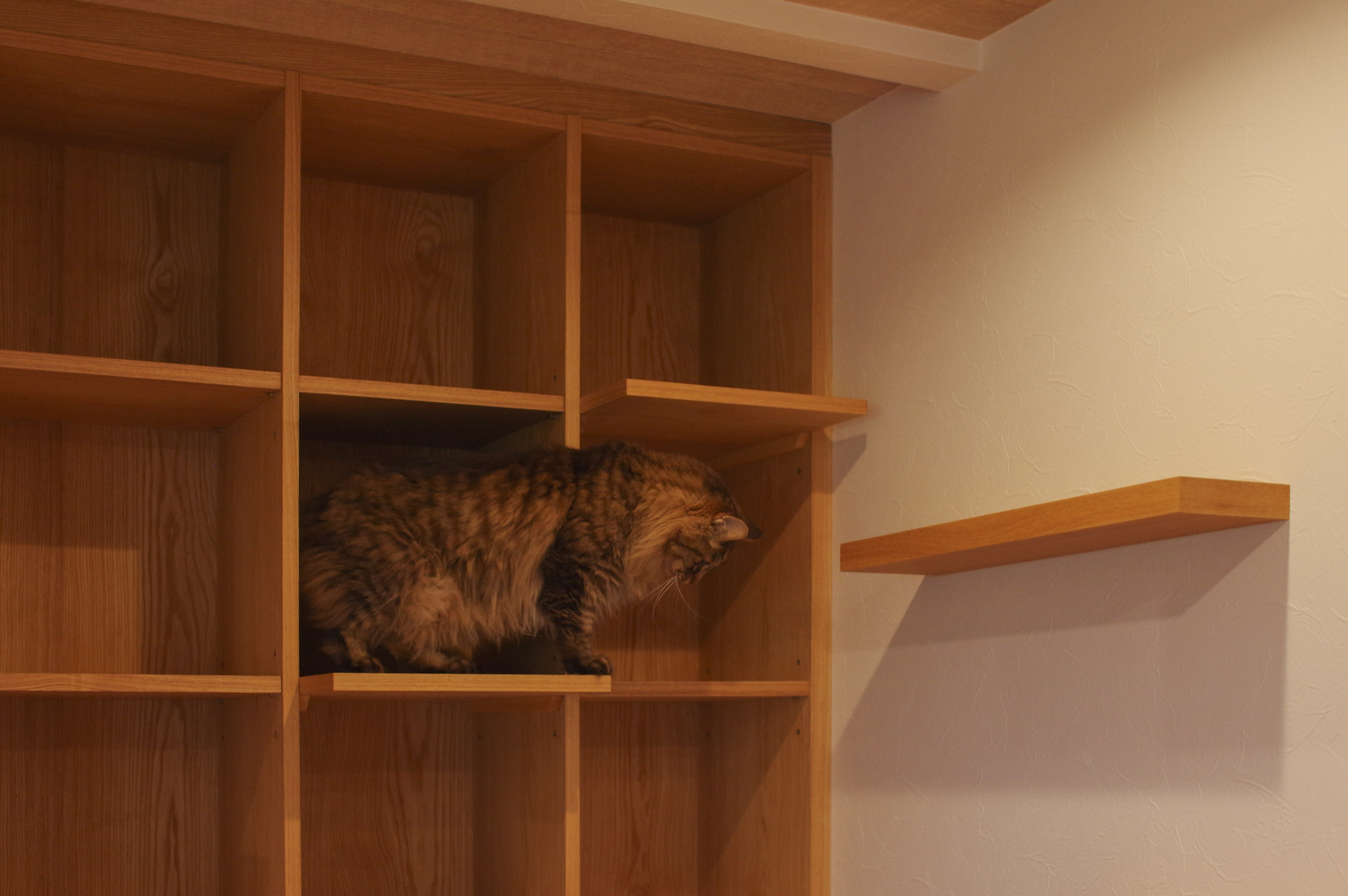 title: HOUSE 210 | Page No,223 | No.12 | sync-furniture | 株式会社 SYNC | 福岡県 家具工房 | オーダーメイドキッチン