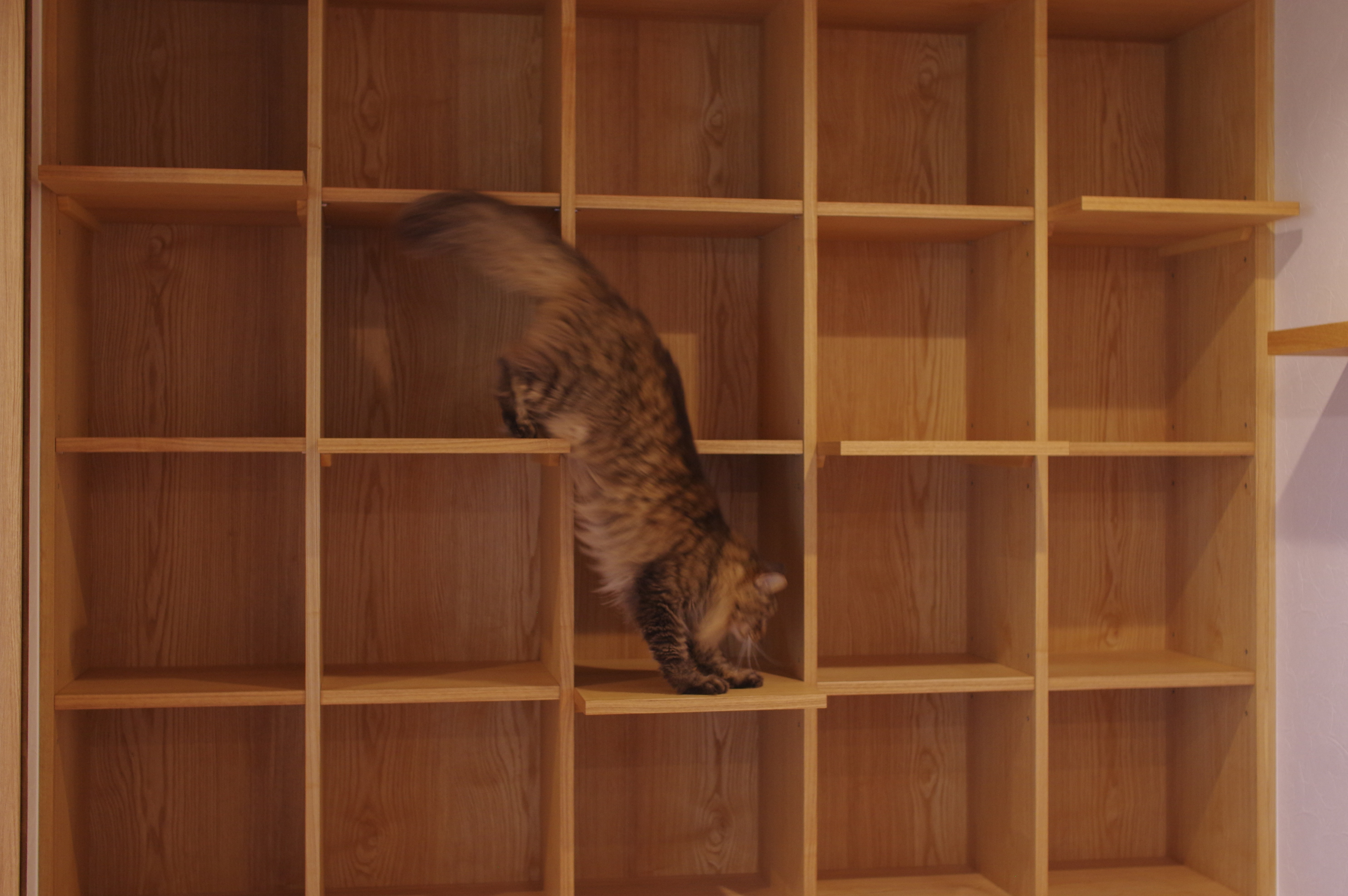 title: HOUSE 210 | Page No,223 | No.14 | sync-furniture | 株式会社 SYNC | 福岡県 家具工房 | オーダーメイドキッチン