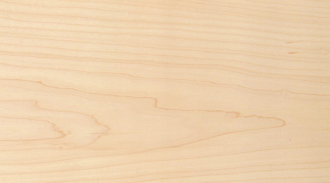 title: 木材の種類|明るい木材4選 | Page No,278 | No.8 | sync-furniture | 株式会社 SYNC | 福岡県 家具工房 | オーダーメイドキッチン